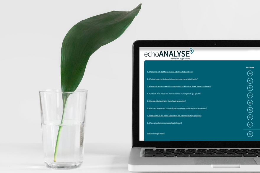 echoANALYSE Mitarbeiterbefragungssoftware für Unternehmen